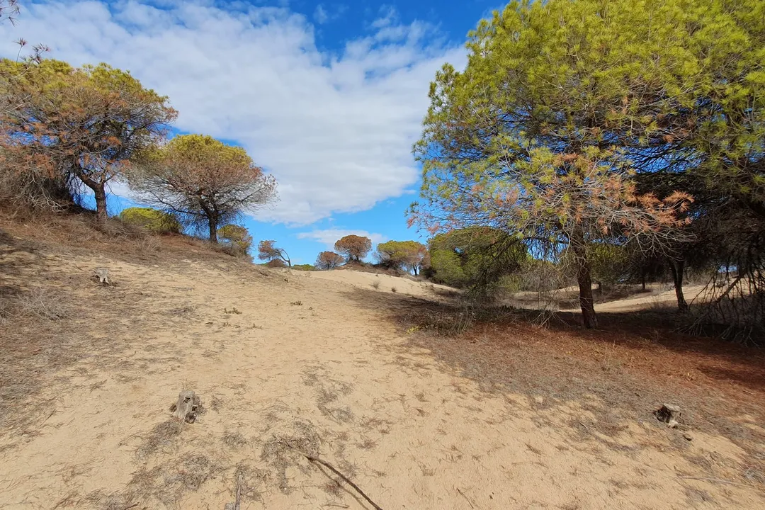 Outdoor activity near Orihuela Costa